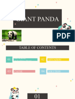 Funny Panda Agency by Slidesgo