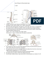 10 Lumbosacral Spine