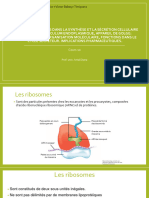 C10 - Biologie Cellulaire