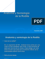 Anatomía y Semiología de La Rodilla