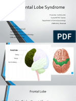 Frontal Lobe Syndrome