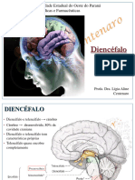 SN 3 - Diencéfalo