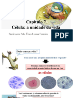 Capítulo 7 - Celulas