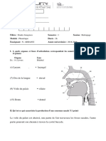 Corrigé Phonétique Examen 18-19