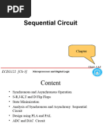 CH 4 5 Sequinital New