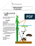 Formation Grossissement FR