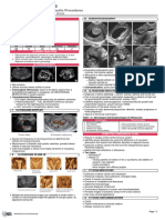 Diagnostic Procedures in Gynecology (2023)