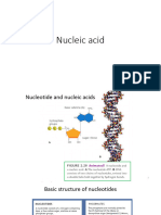 Nucleic Acid