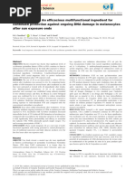 Synoxyl AZ-Protection Against Ongoing DNA Damage-International J Cosmetci Sci-2019