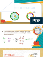 EL CICLO CELULAR PPT