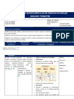 5to - CCNN - Trimestre Dos - 2023