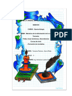 Trabajo Monografico de La Deformacion de La Corteza