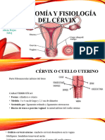 Anatomía y Fisiología Del Cérvix