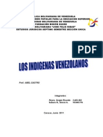 Trabajo Libre de Pueblos Indigenas