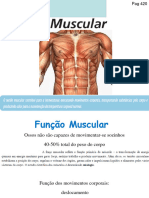 Aula 3 - Sistema Muscular