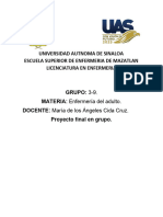 Proyecto Final Maestra Cida