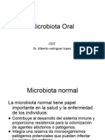 Microbiota Oral