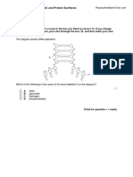 1.4 DNA and Protein Synthesis