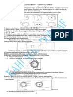 La Fecondation Serie Maths 2