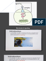 Biosignaling 1