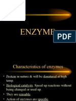 Enzyme