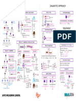 Hematology Pathology - 004) Acute Myelogenous Leukemia (AML) (Illustrations - Key)