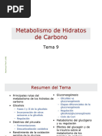 Metabolismo de Hidratos de Carbono Tema 9