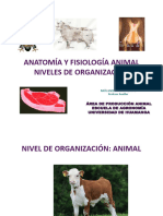 1animales Domesticos Taxonomia 2018