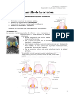 04.desarrollo de La Oclusión