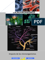 8 - Diversidad Microbiana