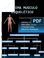 Sistema Musculo Esquelético