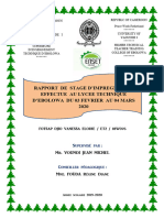 Rapport Elodie PDF