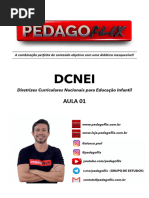 Estou Compartilhando o Arquivo 'DCNEI - AULA 1 - SLIDES DE APOIO' Com Você