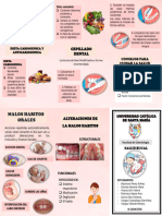 TRIPTICO Salud Bucal