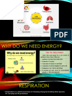 Magnetic Effect PPT 1