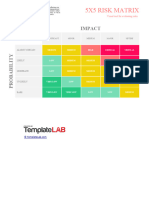 5X5 Risk Matrix: Impact