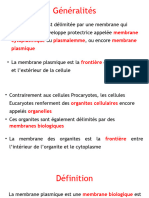 Membrane Plasmique