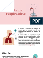 Sistema Respiratório