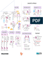 Endocrinology Pathology - 008) Hyperaldosteronism (Illustrations - Key)