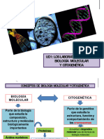 UD 1 Los Laboratorios de Biologã - A Molecular y Citogenã© Tica-1