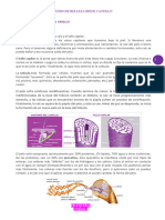 Modulo Imprimible 1