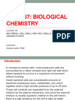 Lecture 17 Bacterial Cell Wall and Cell Walls of Higher Plants