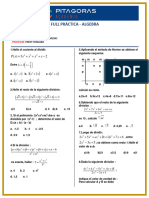 Si-Al-Fp-05-Division Algebraica