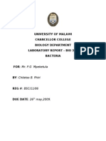 Bi0 310 Bacteria Lab Report