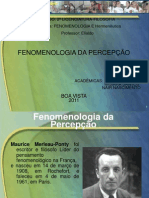 Apresentação Fenomenologia Da Percepção