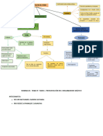 Semana 8-Tarea-Presentación Del Organizador Gráfico