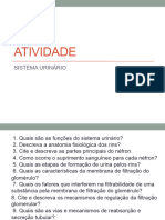 Atividade e Aula Do Sistema Urinário