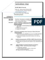 Curriculum Vitae 2021