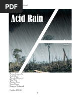 Acid Rain Research Paper