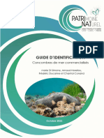 Guide Identification Concombres de Mer 2022 FR